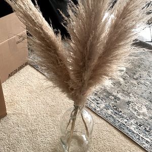 COPY - Pampas grass